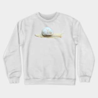 Snail Crewneck Sweatshirt